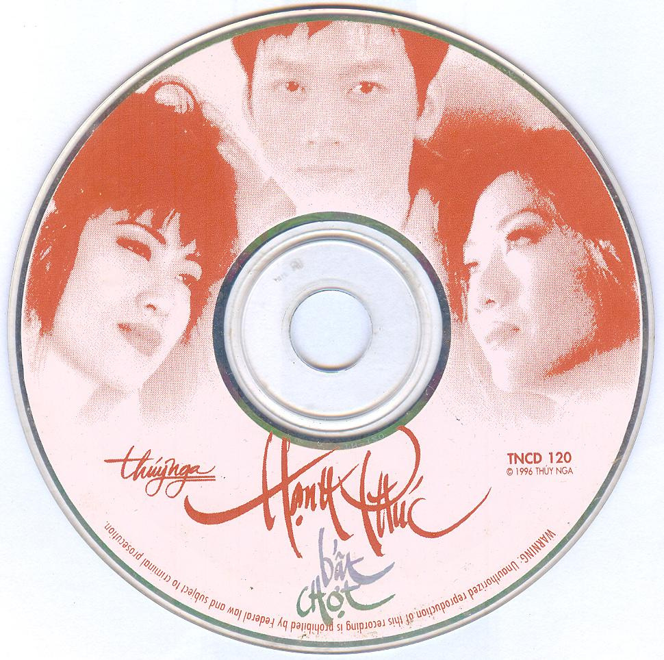 Thúy Nga CD120 - Hạnh Phúc Bất Chợt