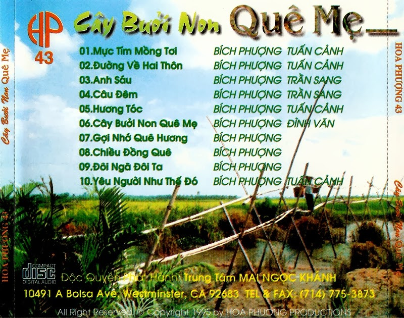 Hoa Phượng CD043 - Bích Phượng - Cây Bưởi Non Quê Mẹ