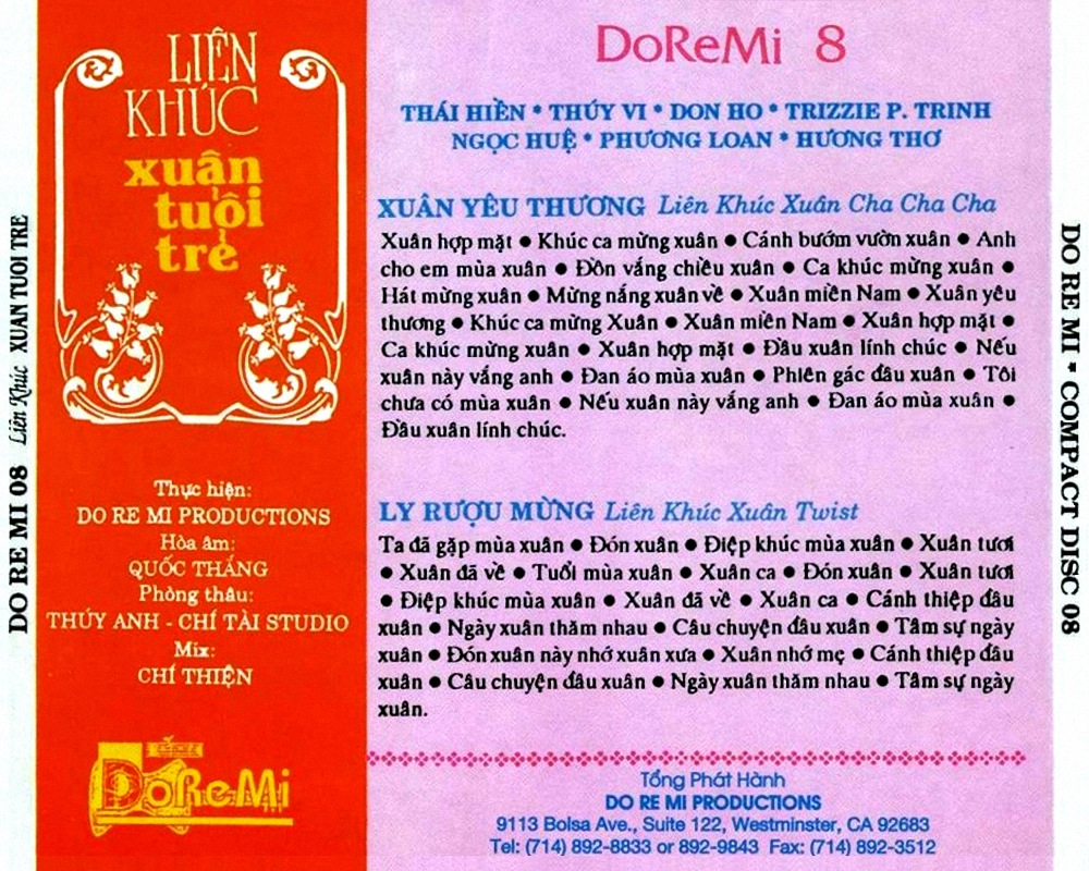 Liên Khúc Xuân Tuổi Trẻ (DoReMi CD008)