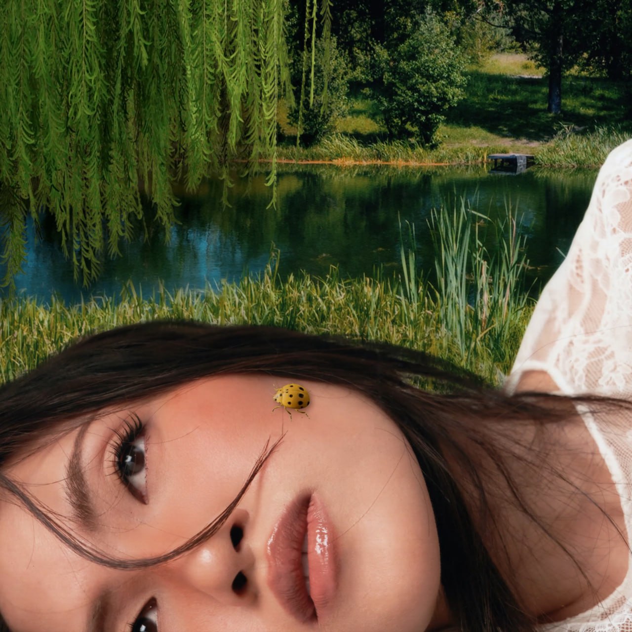 Nguyên Hà - Hồi Ức Thanh Xuân