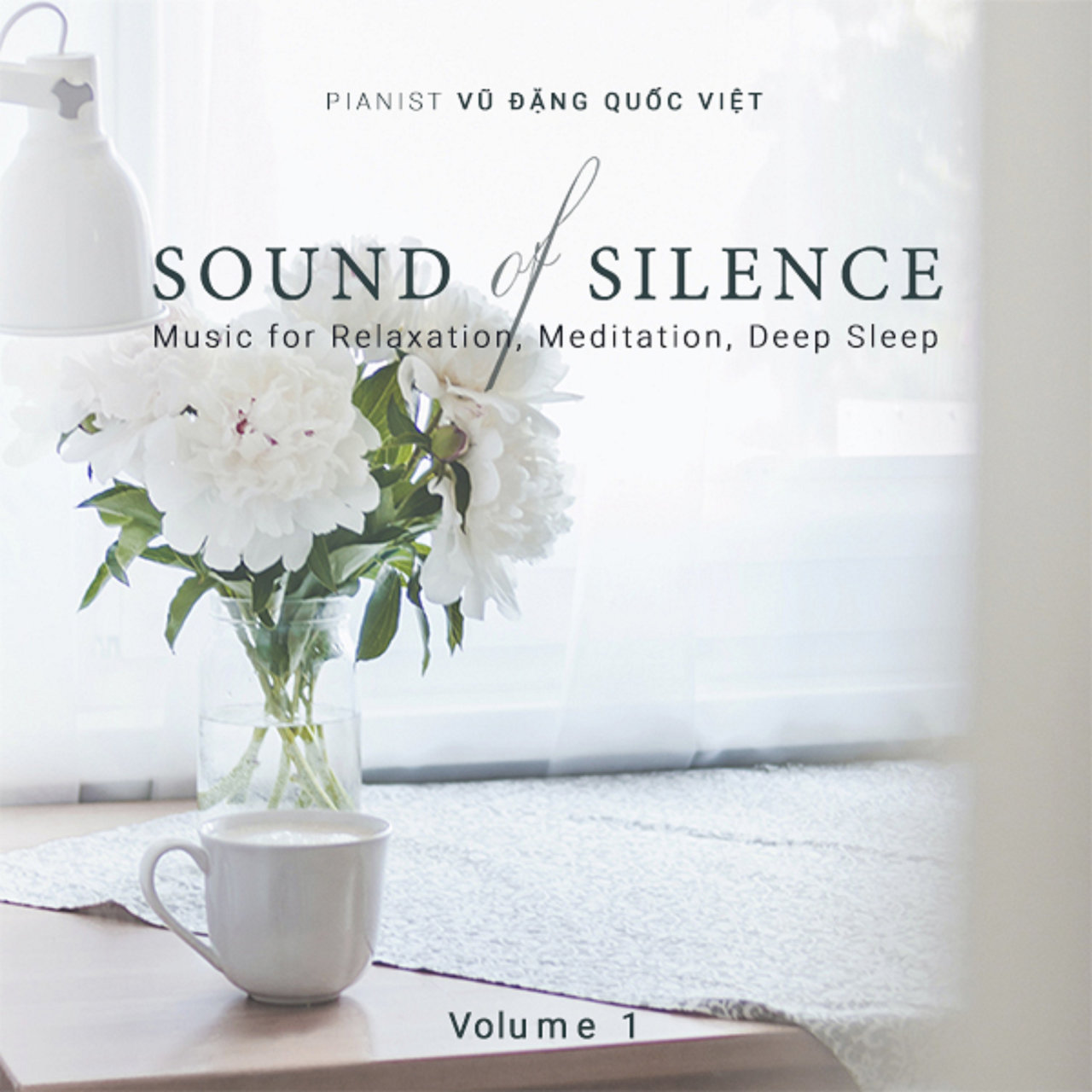 Vũ Đăng Quốc Việt - SOUND OF SILENCE