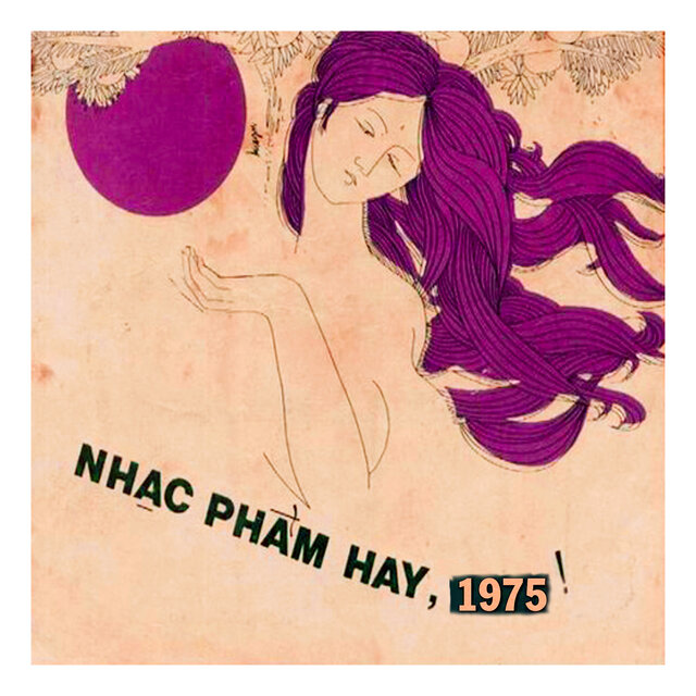 Phương Phạm Guitarist - Nhạc Phẩm Hay 1975 (2024)