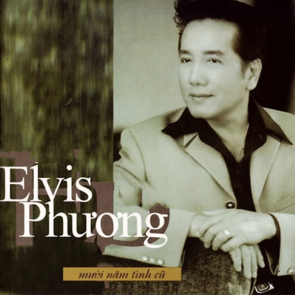 Elvis Phương - Mười Năm Tình Cũ (2024)