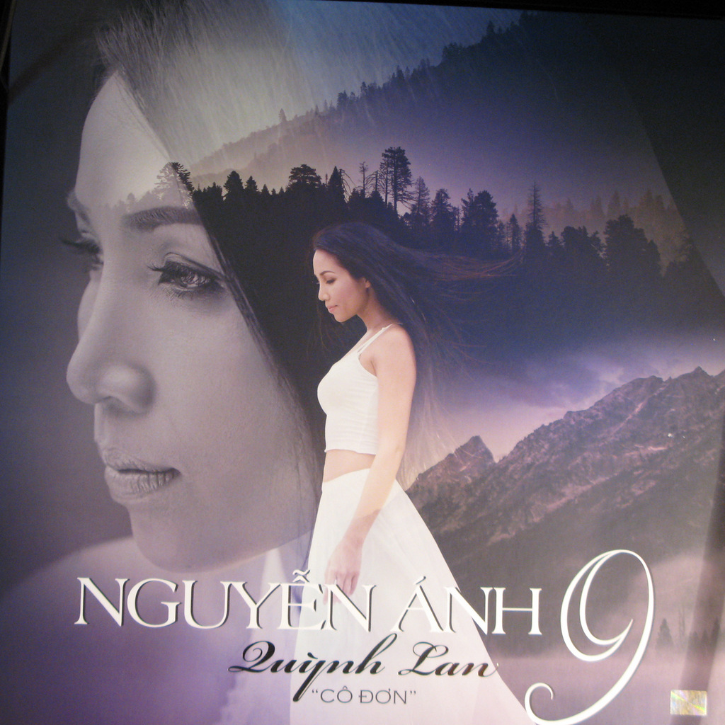 Vinyl Rip - Quỳnh Lan - Cô Đơn