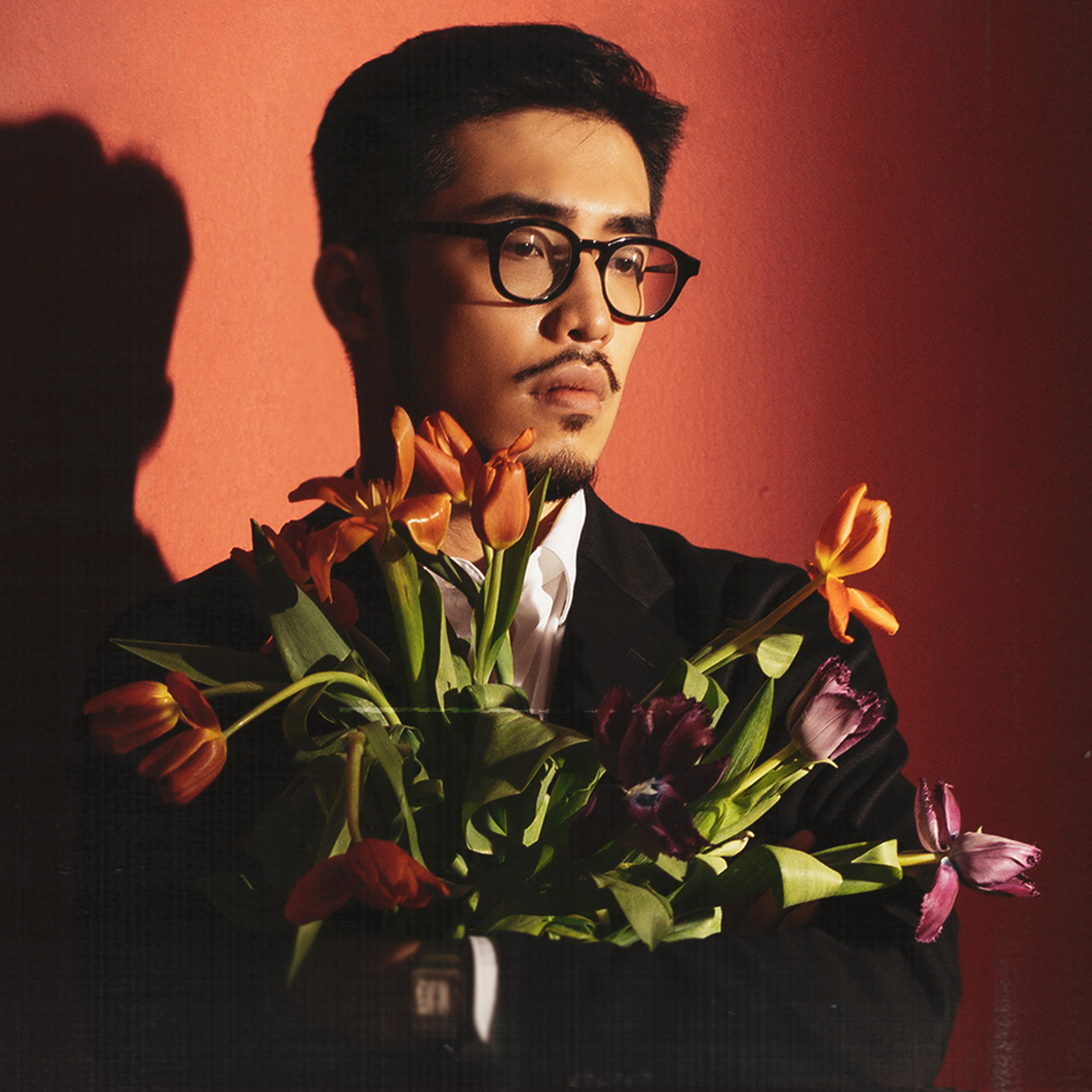 Bước Qua Nhau - Vũ