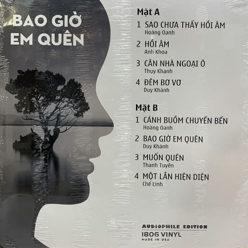 Vinyl Rip - Bao Giờ Em Quên