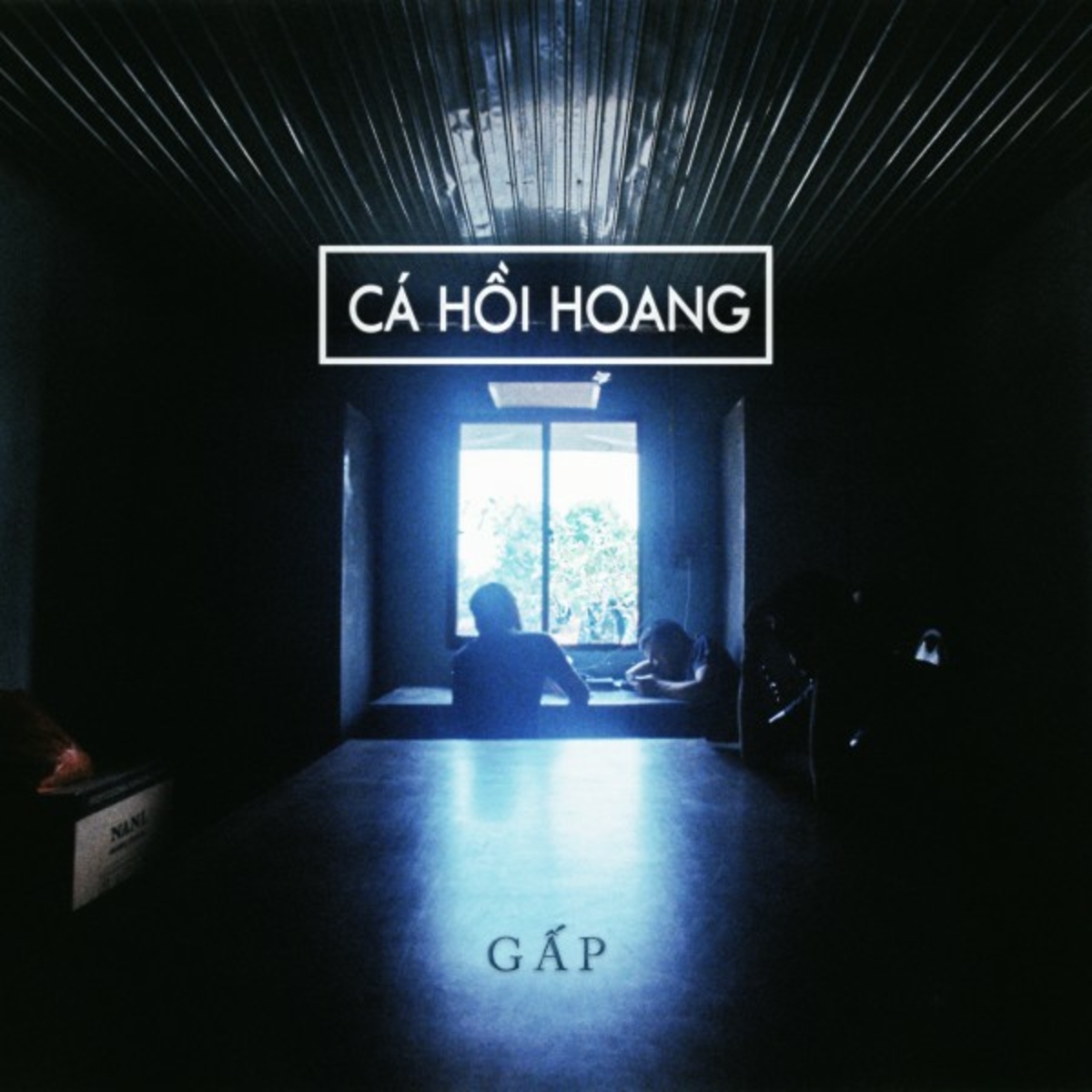 Cá Hồi Hoang - Gấp (2017)