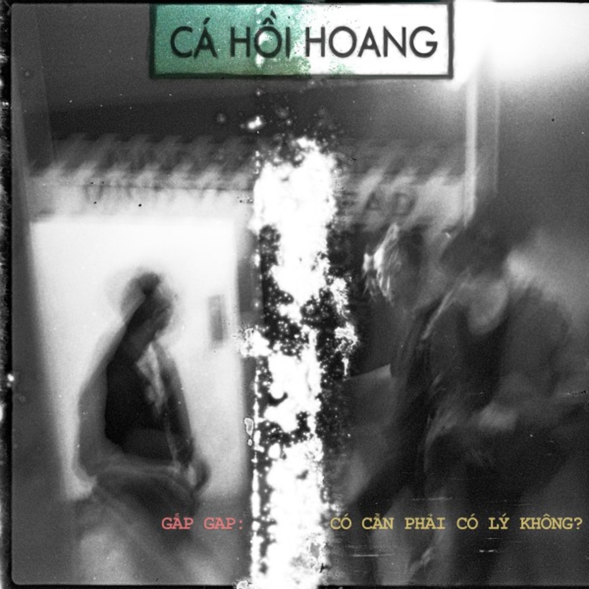 Cá Hồi Hoang - Gấp Gap, Có Cần Phải Có Lý Không (2018)