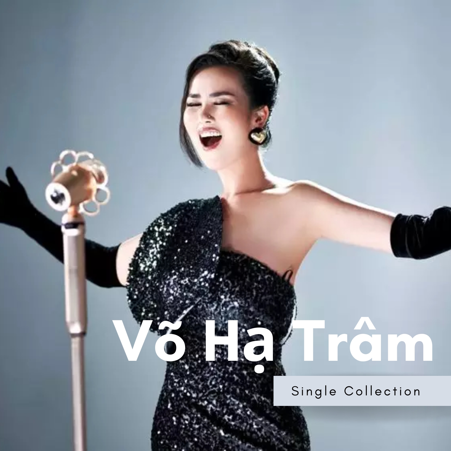 Võ Hạ Trâm - Single Collection