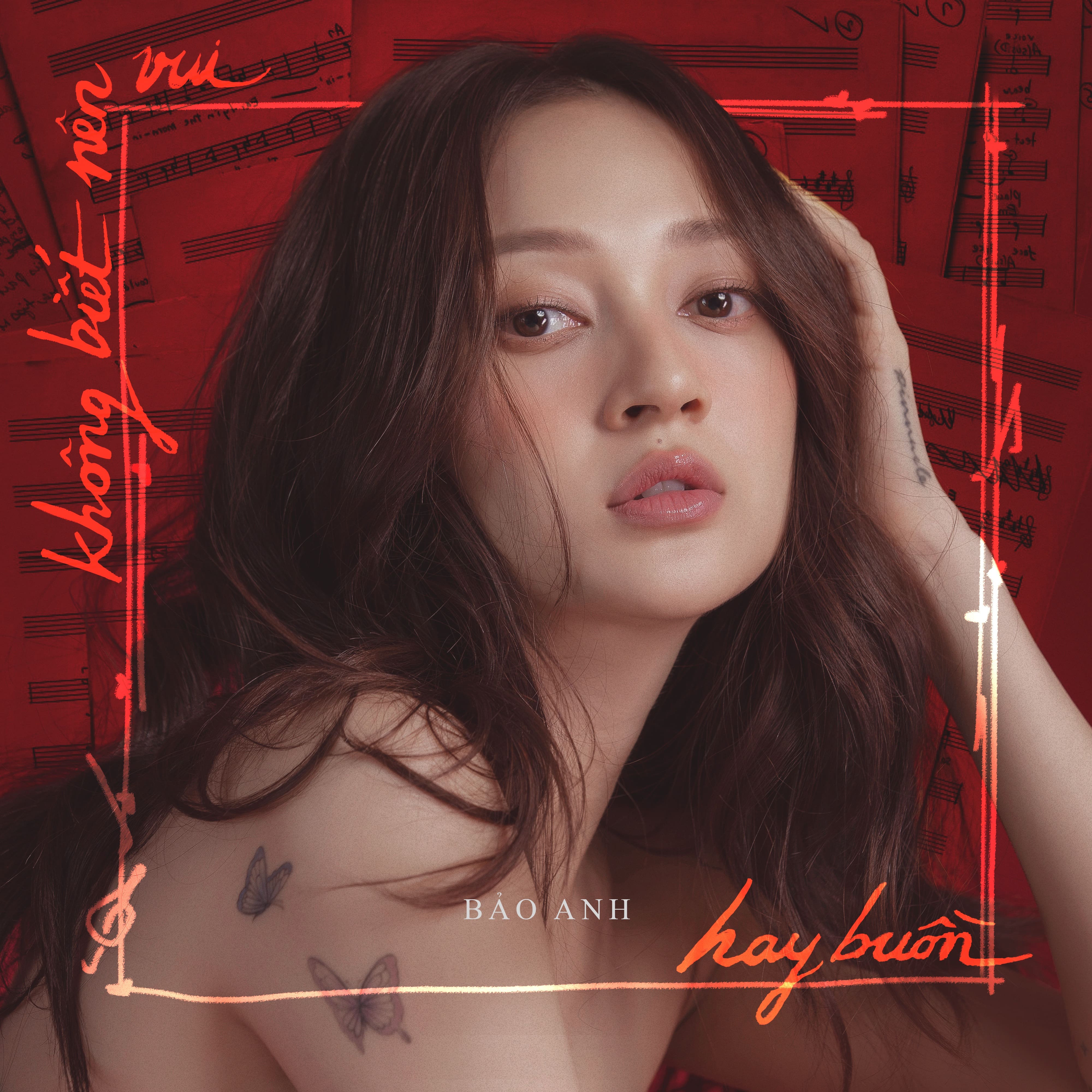 Bảo Anh - không biết nên vui hay buồn (2023)