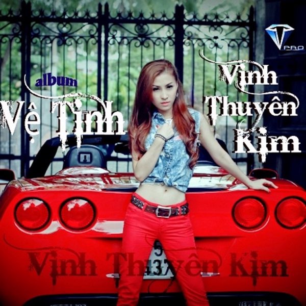 Vĩnh Thuyên Kim - Vệ Tinh (2014)