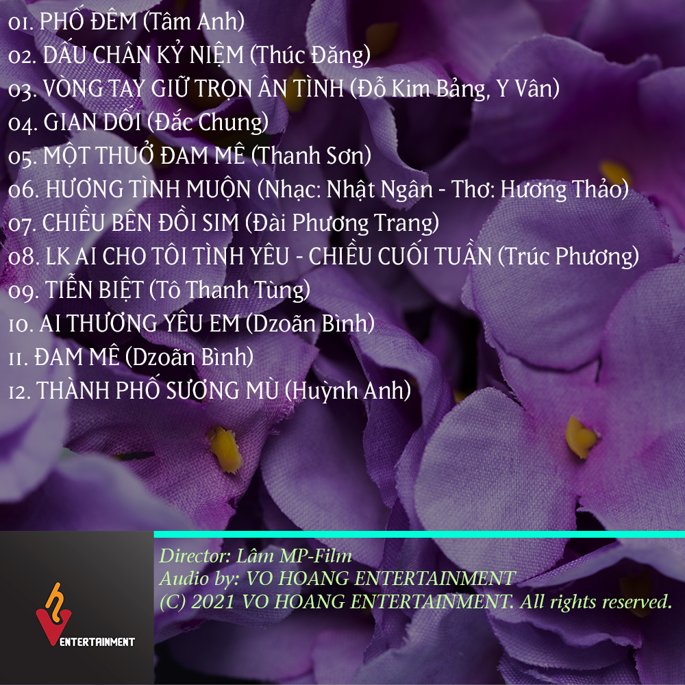 Hoàng Hải - Tuyển Tập Tuyệt Phẩm Bolero - Phố Đêm & Tiễn Biệt